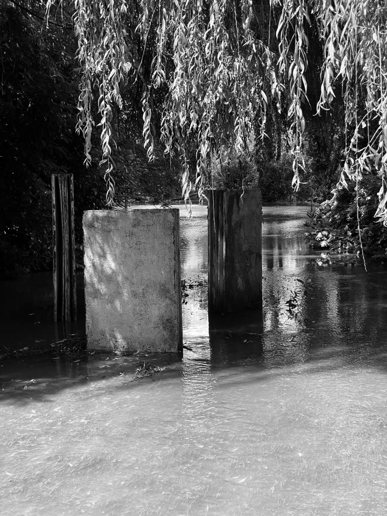 Hochwasser in Frankreich, Die drei Mauerblumen 2009 von Suter & Bult